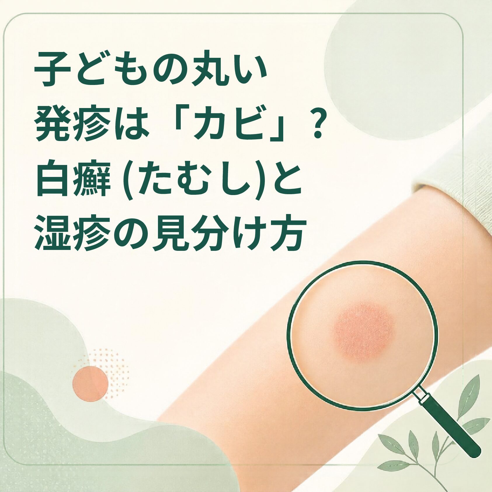 コラム